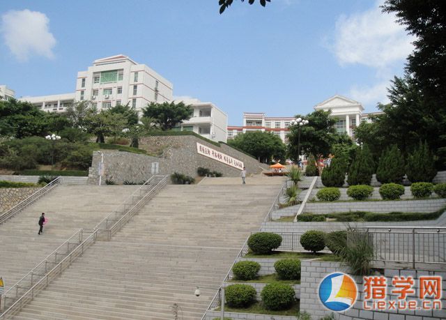校园风光