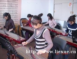 传统中国乐器学习