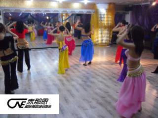 北京专业舞蹈培训