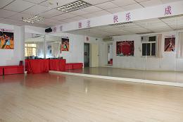 深圳凭风拉丁舞专业培训中心