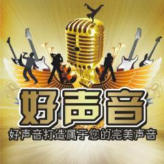 沈阳好声音好音乐文化交流有限公司