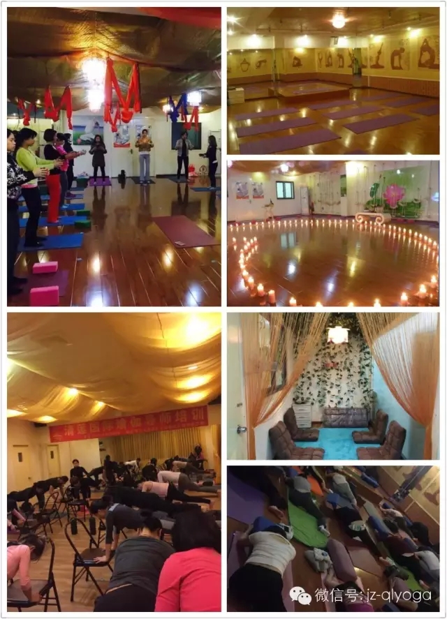 香港瑜伽·佛山清莲会馆