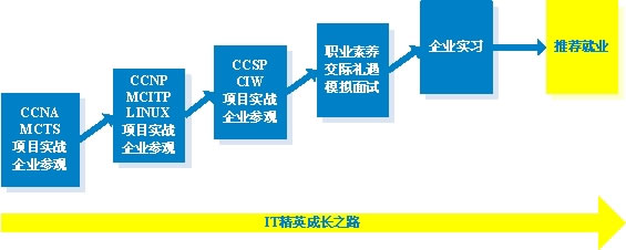 高级网络安全工程师