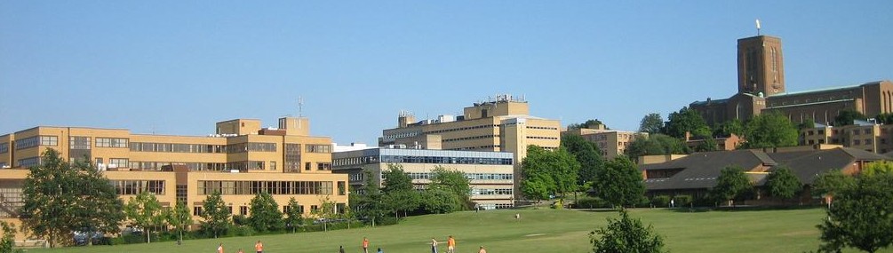 2017年英国萨里大学留学申请条件