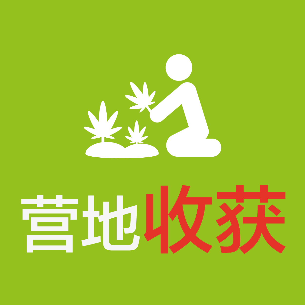 2016清华北大拔尖夏令营（6天5夜）