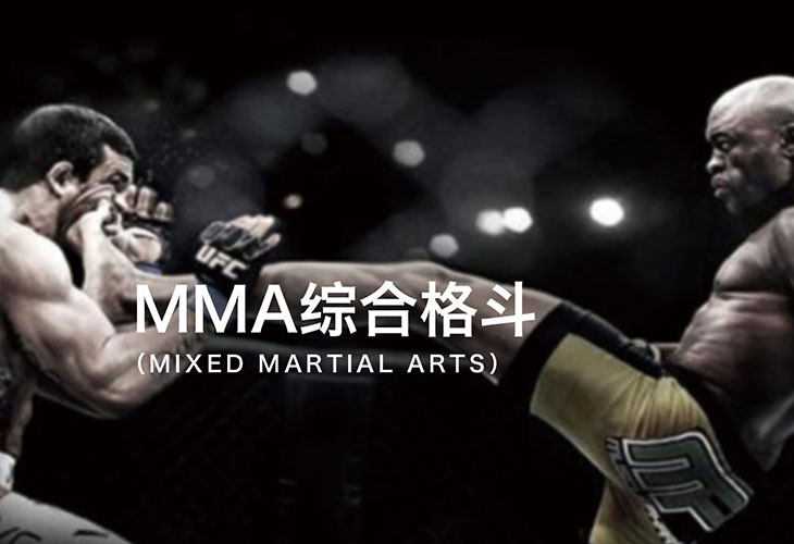MMA综合格斗课程