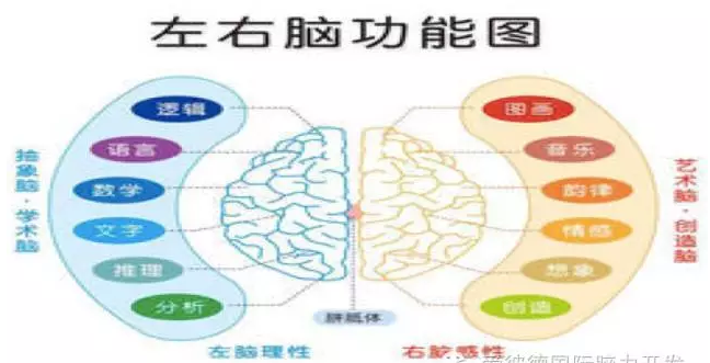 北京腦力開發(fā)機構