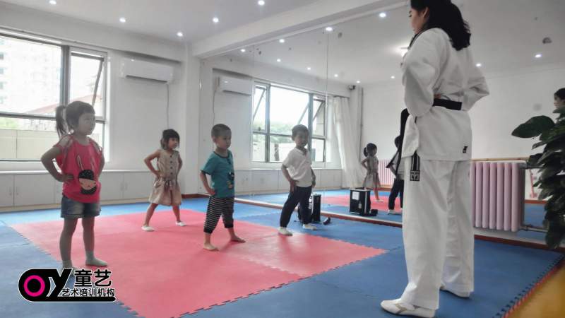 北京昌平天通苑童艺艺术培训提示您学习舞蹈让你的人生