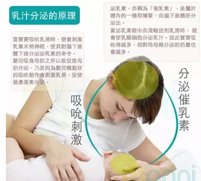 西城區(qū)最好的催乳師培訓學校