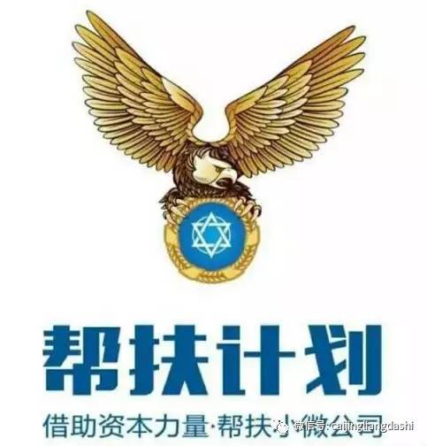 项目放大器帮扶计划