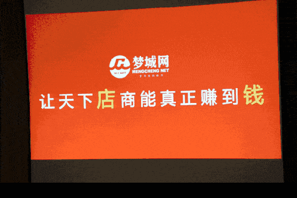 项目放大器帮扶计划