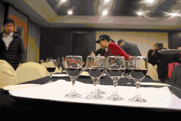 项目放大器帮扶计划