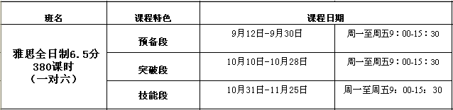 雅思全日制6.5分380课时（一对六）