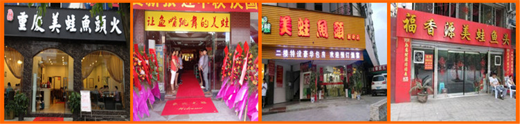 美蛙鱼头培训|四川美蛙鱼头培训