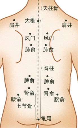 成都小兒推拿培訓(xùn)小兒背部穴位一覽