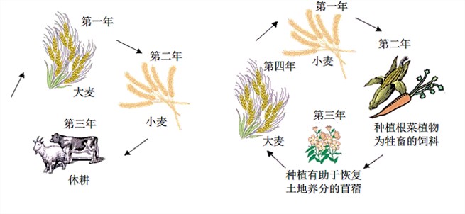 托福閱讀機(jī)經(jīng)背景知識(shí)擴(kuò)充