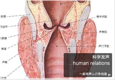 科学发声