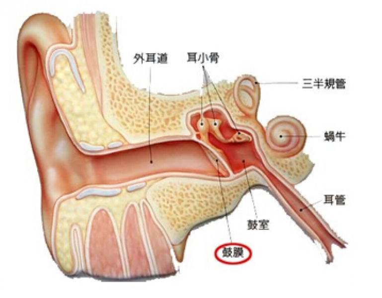 武汉健康采耳师培训班