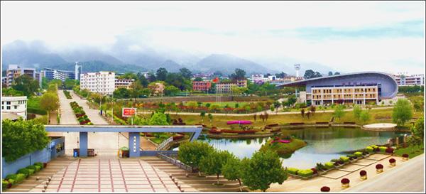 龙岩学院