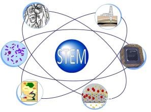 美國STEM專業(yè)OPT延期政策或取消