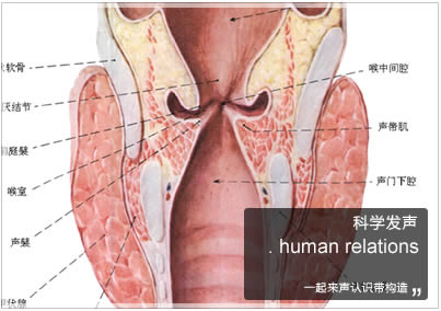 科学发声