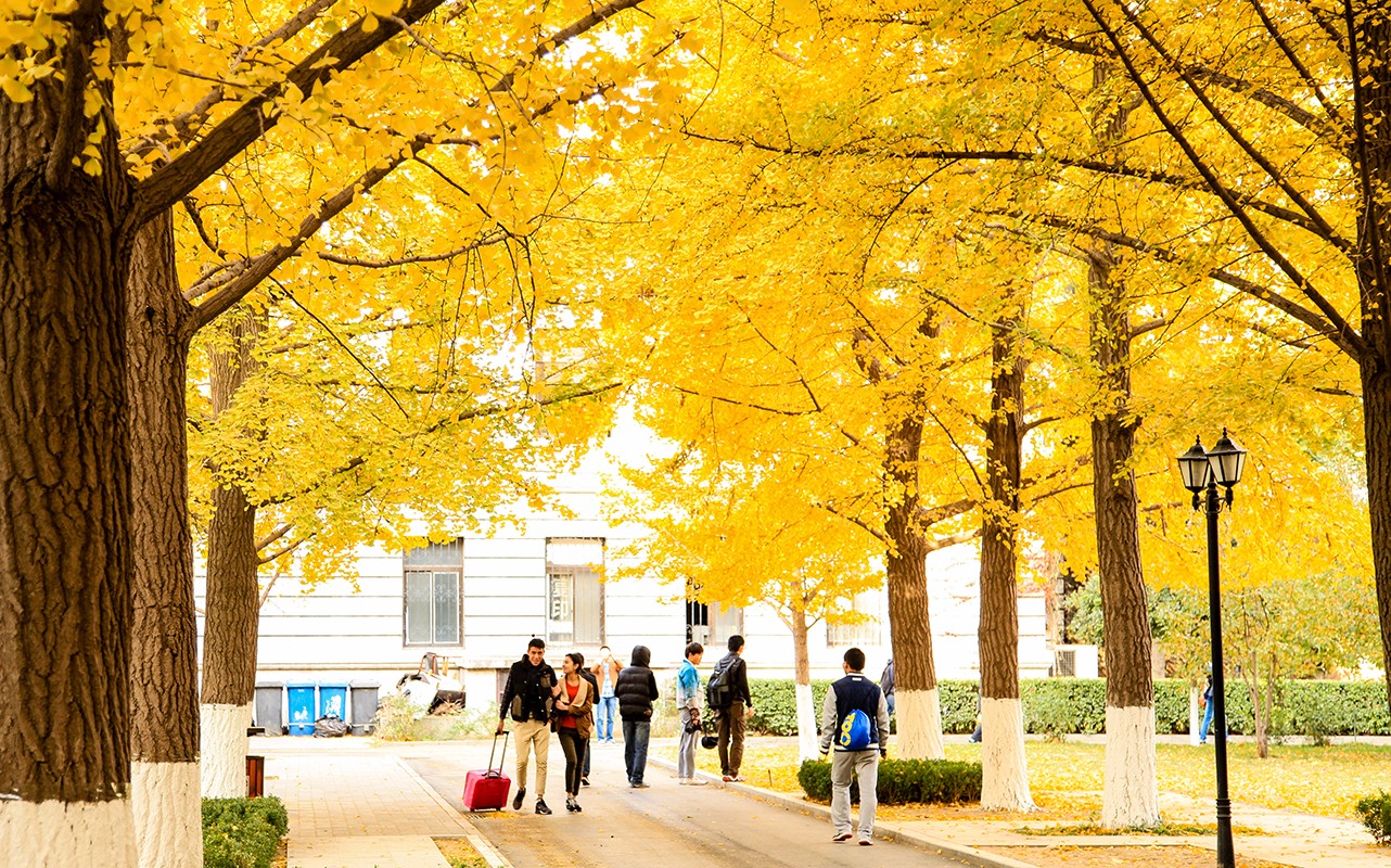 北京科技大学校园环境