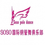 武汉市武昌区唯舞独尊国际钢管舞俱乐部