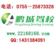 深圳市鹏城机动车驾驶员培训有限公司