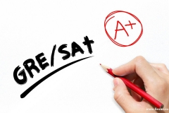 【SAT写作一对一】名师助力SAT写作综合备考冲刺