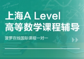 上海A-Level高等数学课程辅导 菠萝在线 国际培训