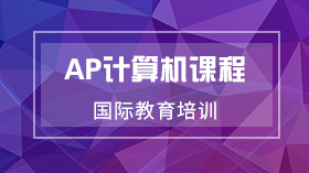 上海AP计算机课程辅导 菠萝在线 国际教育培训